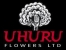 uhuru  - flower exchange